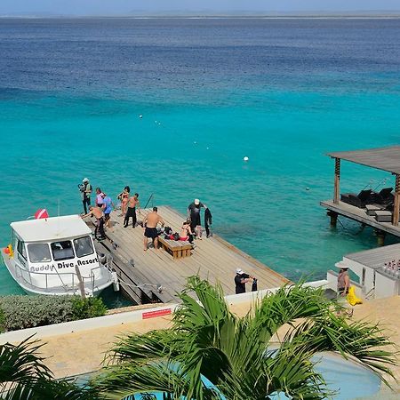 Belmar Oceanfront Apartments Bonaire Bagian luar foto