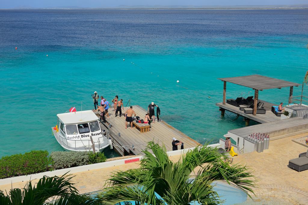 Belmar Oceanfront Apartments Bonaire Bagian luar foto