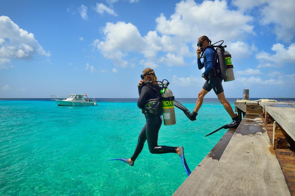 Belmar Oceanfront Apartments Bonaire Bagian luar foto