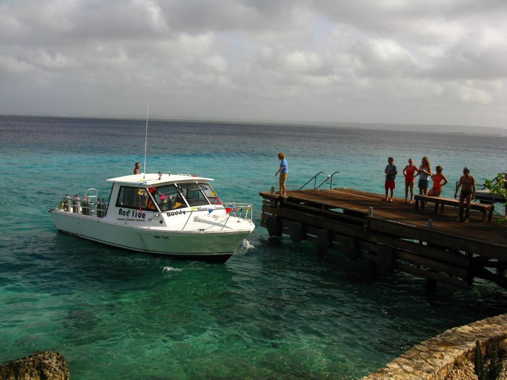Belmar Oceanfront Apartments Bonaire Bagian luar foto