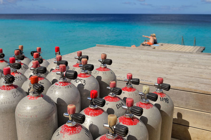 Belmar Oceanfront Apartments Bonaire Bagian luar foto