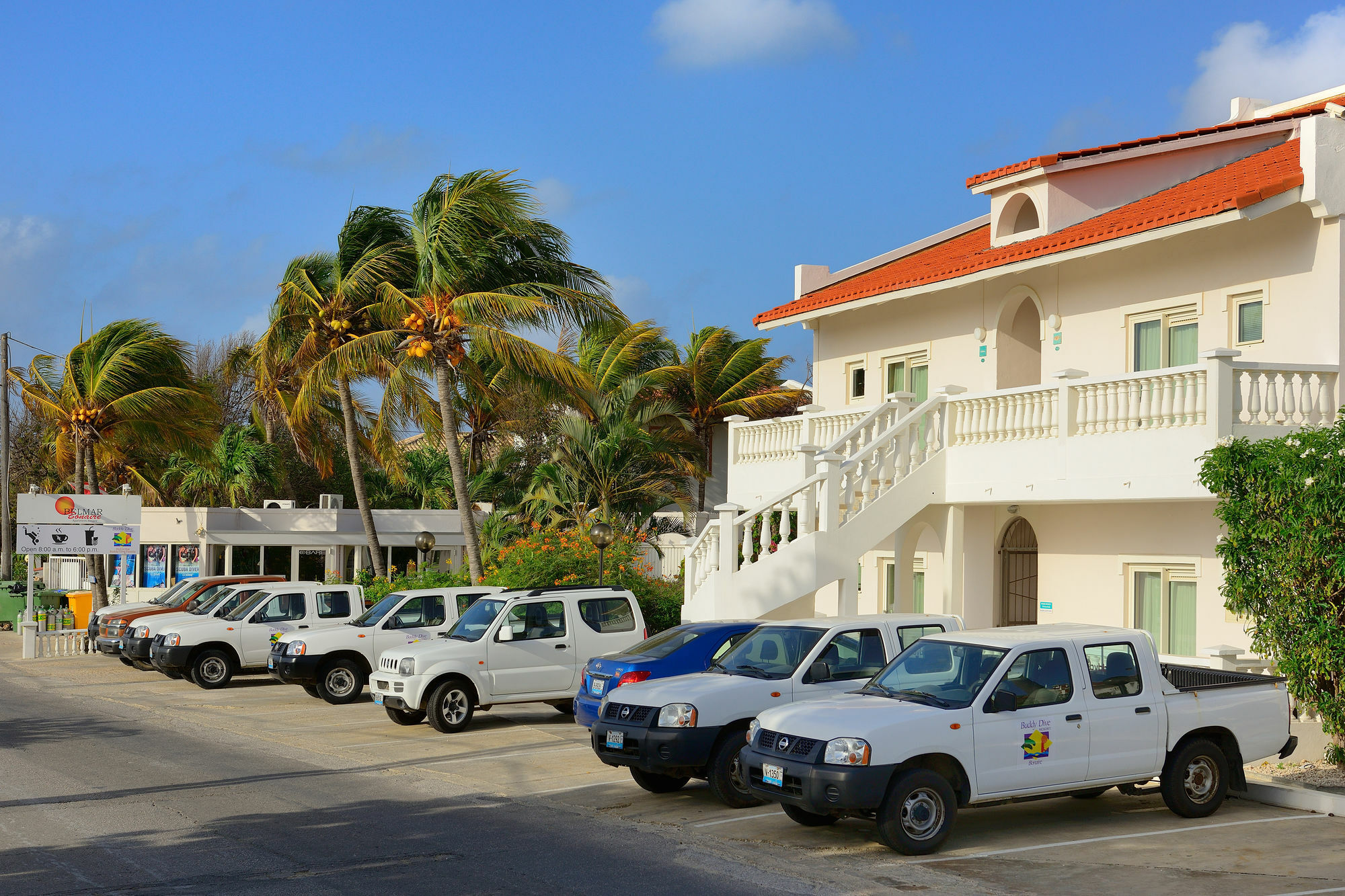 Belmar Oceanfront Apartments Bonaire Bagian luar foto