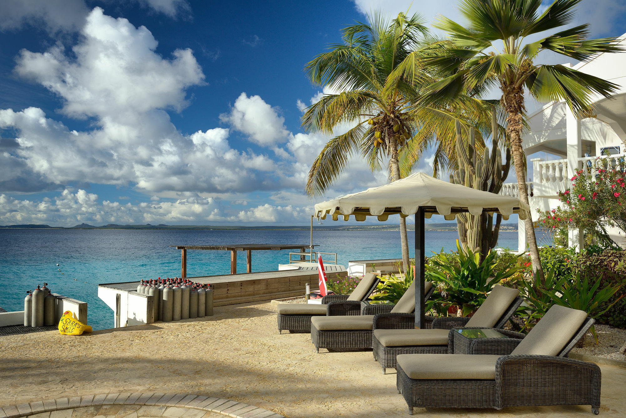 Belmar Oceanfront Apartments Bonaire Bagian luar foto