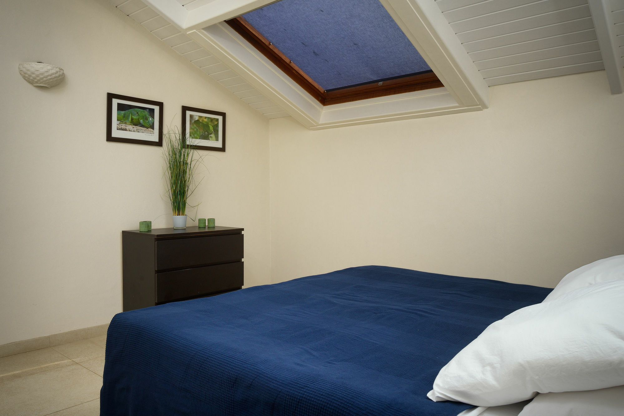 Belmar Oceanfront Apartments Bonaire Bagian luar foto